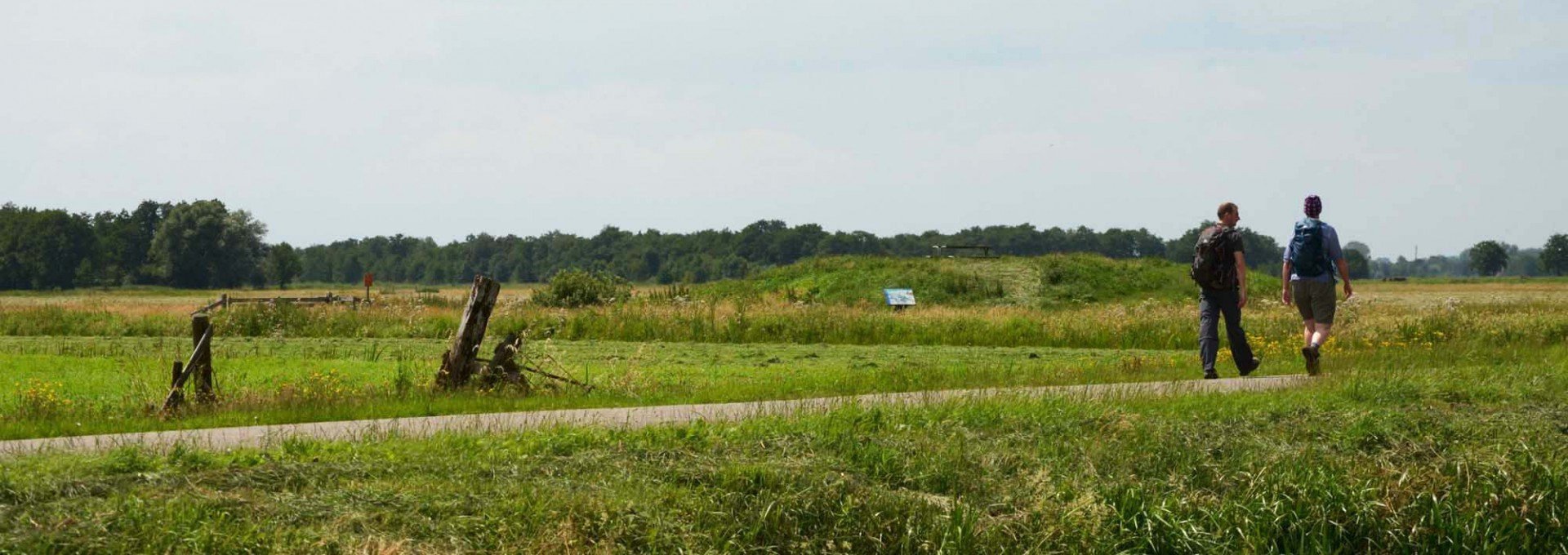 Loosdrechtse plassen