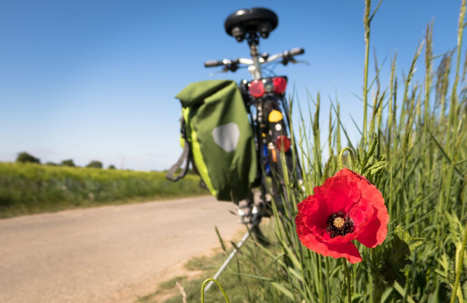 Walking and cycling